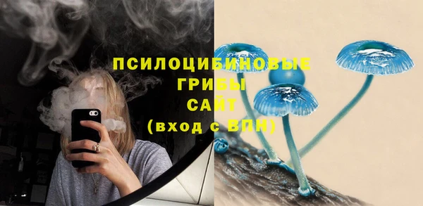 прущие грибы Беломорск