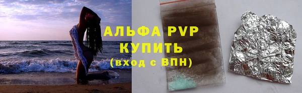 прущие грибы Беломорск