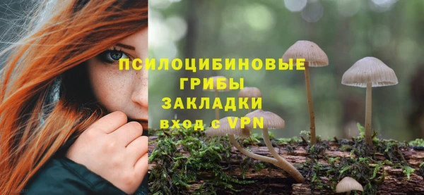 сатива Балахна