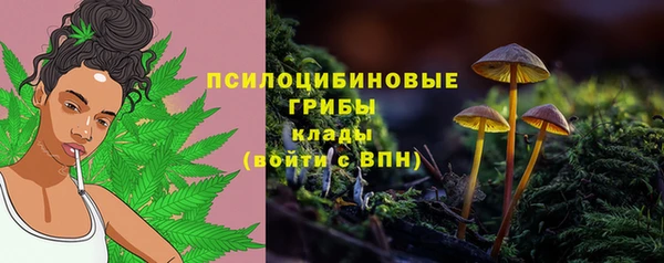 стафф Михайловск