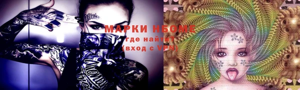 прущие грибы Беломорск
