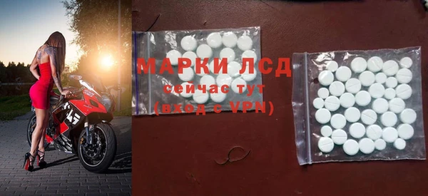 сатива Балахна